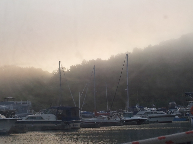 Misty day at the marina